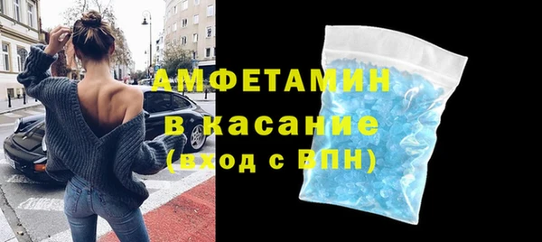 шишки Карпинск