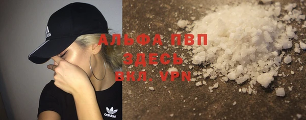 шишки Карпинск