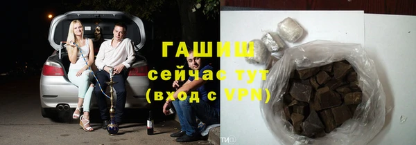 шишки Карпинск