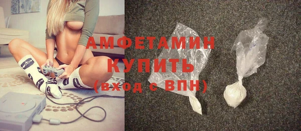 шишки Карпинск