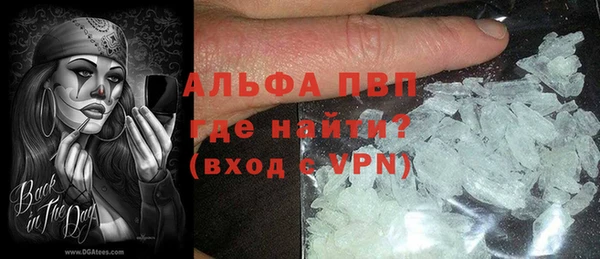 шишки Карпинск