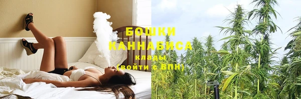 шишки Карпинск